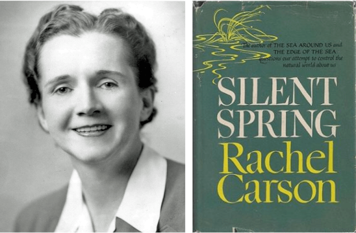 A fable for tomorrow by rachel carson