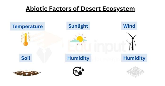 Biotic factors of the desert biome