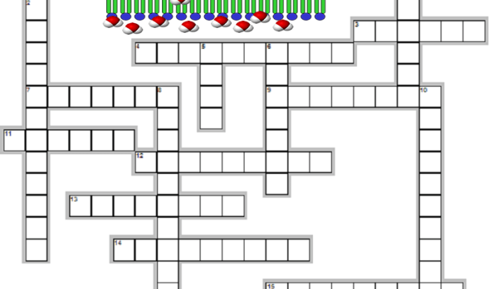 Diffusion and osmosis crossword puzzle