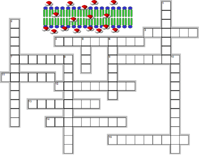 Diffusion and osmosis crossword puzzle