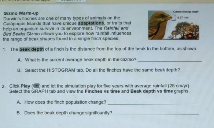 Student exploration rainfall and bird beaks