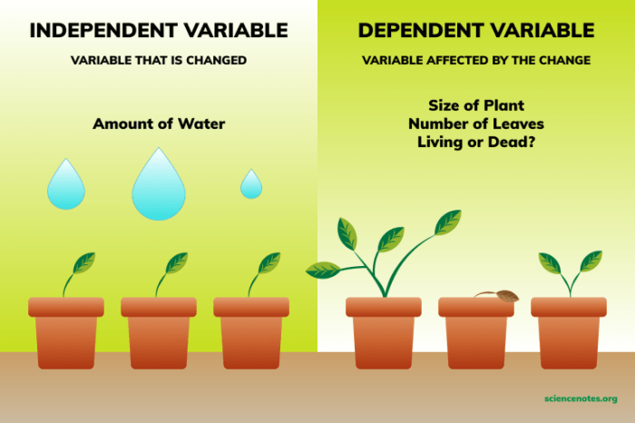 Identify independent and dependent variables worksheet