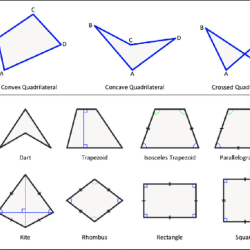 Choose all answers that describe the polygon below