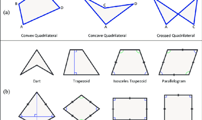 Choose all answers that describe the polygon below