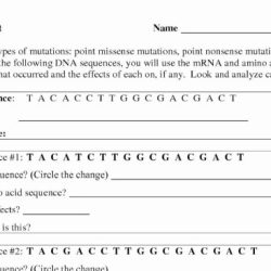 Dna mutation simulation worksheet answers pdf