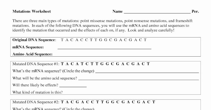 Dna mutation simulation worksheet answers pdf